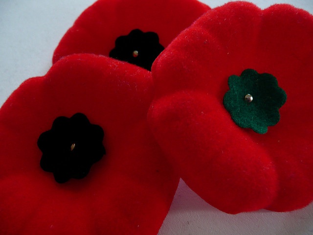 It's Remembrance Day, And Canadians Are Wearing Poppies | Living Abroad ...